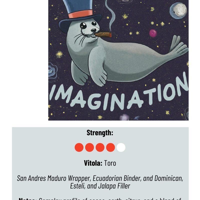 Imagination Toro 5 Pack